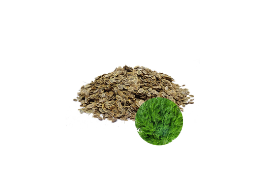 بذور شبنت (Dill Seeds)