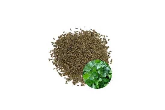 بذور بقدونس (Parsley Seeds)