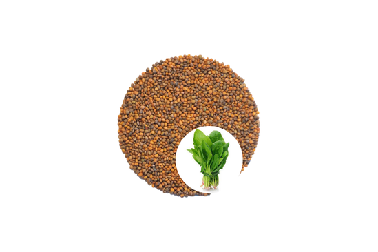 بذور رويد بحريني (Bahraini Roaid Seeds)