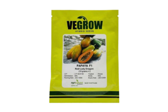 بذور بابايا هجين F1 Red Lady Dragon – Vegrow | 10 جرام ±