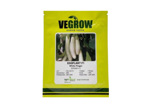 بذور باذنجان هجين F1 White Finger – Vegrow | 5 جرام+