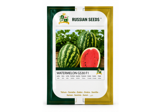 بذور بطيخ WATERMELON GS30 F1