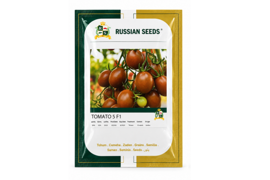 بذور طماطم جيري- TOMATO 5 F1