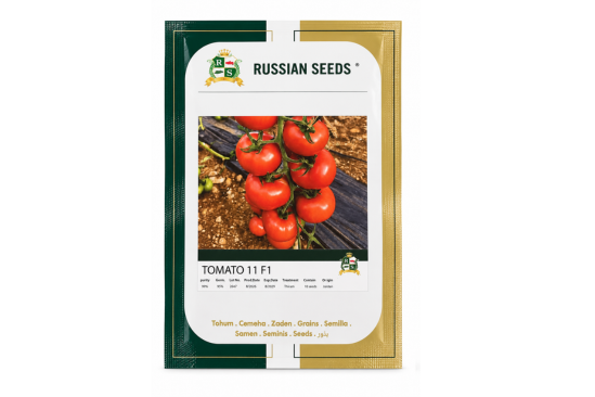 بذور طماطم TOMATO 11 F1