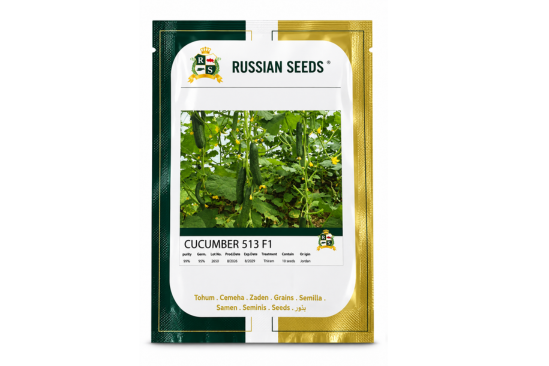 بذور خيار CUCUMBER 513 F1