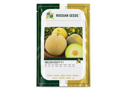 بذور شمام KS077 F1 | Russian Seeds البحرين