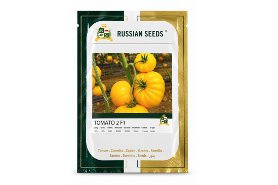 بذور طماطم بيف ستيك TOMATO 2 F1
